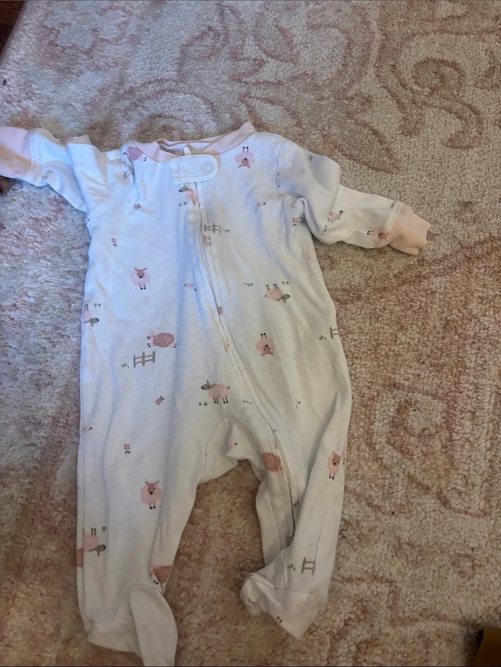 Old Navy sheep carters